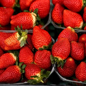 Strawberries are displayed on a vendors stand at the Farmers Market in Ta Qali