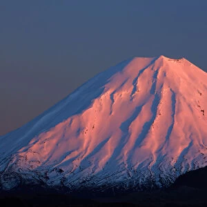 Alpenglow on Mt. Ngauruhoe at dawn, Tongariro National Park, Central Plateau, North Island
