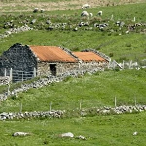 Ireland, County Mayo, Barnabaun Point. Irish countryside with stone wall and red-roofed house