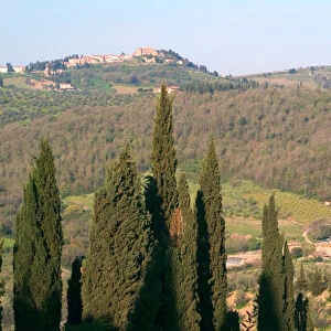 Italy, Tuscan landscape
