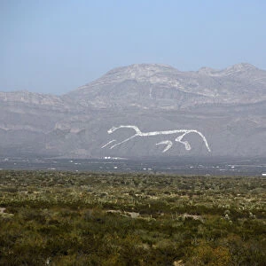 Mexico, Chihuahua. Giant white horse painted on mountainside at Mexico / New Mexico