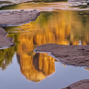 USA, Arizona, Sedona. Cathedral Rock reflects in creek