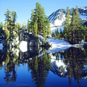 USA, California, Sierra Nevada Mountains. aRed fir trees reflecting in a tarn