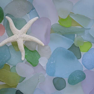USA, Washington State, Seabeck. Starfish and beach glass close-up