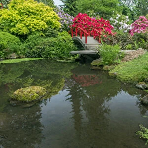 USA, Washington State, Seattle. Kubota Garden