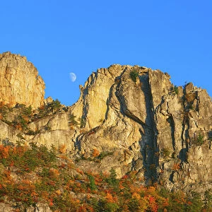 USA, West Virginia, Spruce Knob-Seneca Rocks National Recreation Area, Monongahela