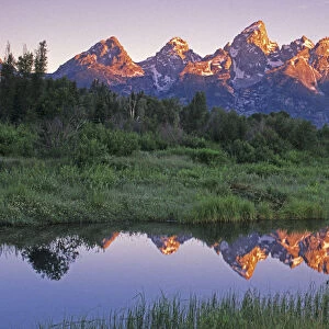 USA, Wyoming, Grand Teton National Park. Mountains reflect in beaver pond at sunrise