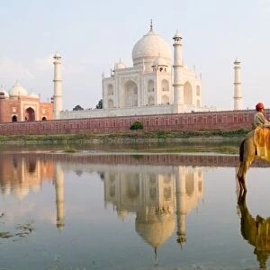 World famous Taj Mahal temple burial site at sunset with young boy on camel