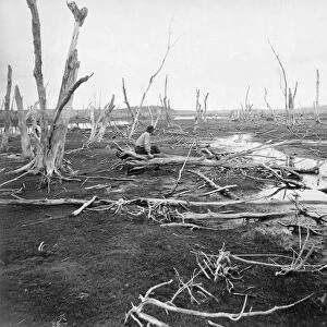 ADIRONDACKS: FLOOD, c1888. Flooded land along the lower Raquette River