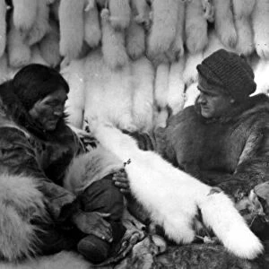 ALASKA: FUR TRADERS. A company trader buying white fox furs and other skins