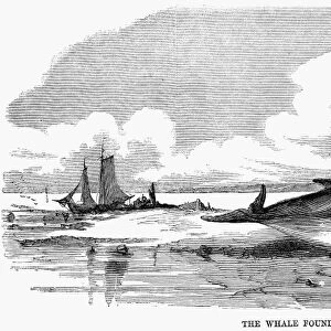BEACHED WHALE, 1859. A beached whale found near Flushing, Long Island, New York. Wood engraving from a contemporary American newspaper, 1859