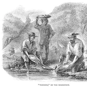CALIFORNIA GOLD RUSH, 1860. Panning for gold on the Mokelumne River in California. Wood engraving, 1860
