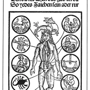The Man of Sorrow as Homo Signorum. Woodcut from Johann Regiomontanus Kalendarius teutsch, Augsburg, Germany, 1512