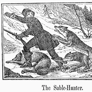 SABLE HUNTER, 1841. A sable hunter attacked by a pack of wolves. Wood engraving, American, 1841