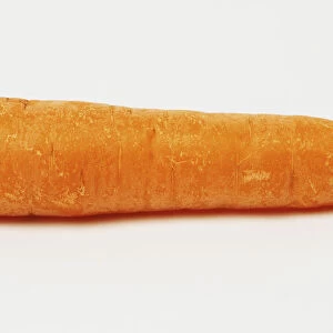 A Carrot, side view