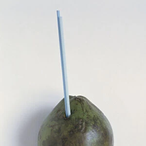 Coconut with straw sticking out of it, close-up