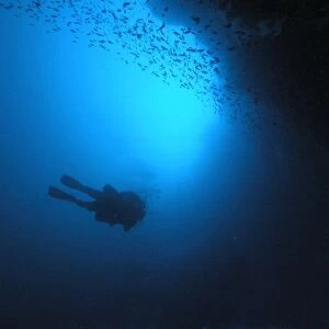 Egypt, Red Sea, near Dahab, scuba diver descending into the depths of the Blue Hole, near a shoal of tiny fish