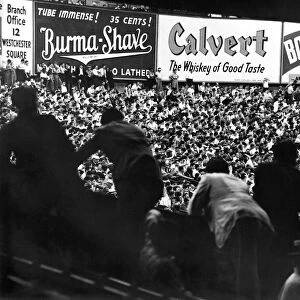 Fans in the bleachers during a baseball game at Yankee Stadium