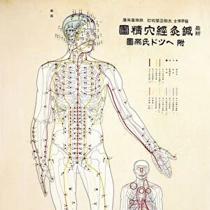 Focal points of the human body, front view, watercolor