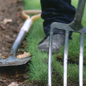 Garden fork digging into soil at the edge of lawn, spade on the ground in the background, close up