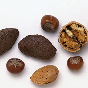 Hazel, almond, brazil and walnuts
