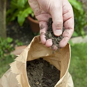 Holding soil in hand above paper bag