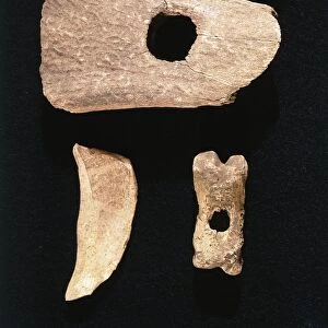Italy, prehistory, neolithic. Tools made from bone