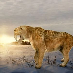 A prehistoric scene with a smilodon (early sabre-toothed cat) in the foreground and a mammoth in the distance