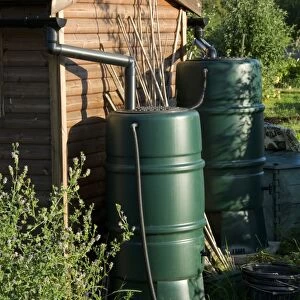 Shed and water butt in allotment
