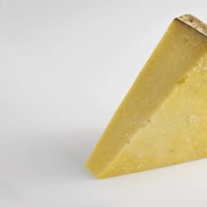 Slice of French Cantal AOC cowA