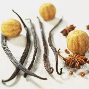 Vanilla planifolia, dried Vanilla pods, citrus aurantiifolia, whole dried Limes, Illicium verum, whole Star Anise pods and seeds, close up
