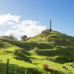 One tree hill famous landmark, Auckland, New Zealand