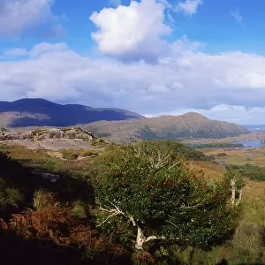 Ladies View, Killarney National Park, Ring Of Kerry, County Kerry, Ireland
