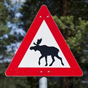 Moose warning sign, Norway, Scandinavia, Europe