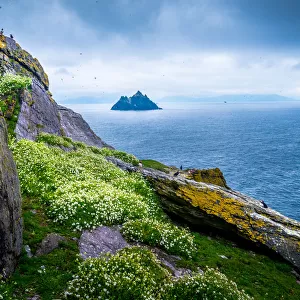 Skellig Islands, County Kerry, Munster Province, Ireland. View of Little Skellig from Skellig Michael island (Great Skelling) with lots of puffins