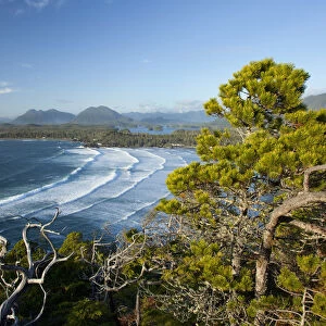 The View Of Cox Bay And Surrounding Mountains And Temperate Rainforest Near Tofino