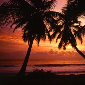 Tropical beauty. Seychelles. Beach on Mahe, at sunset