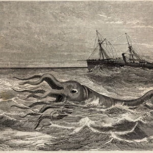 An 18-foot giant octopus (or squid), seen in the ocean forty leagues from Tenerife (Spain