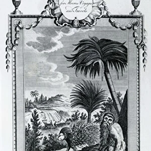 Animals of Maragnan, illustration taken from Moores Voyages and Travels, 1778