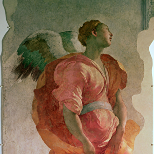 The Annunciation, detail of an angel, c. 1527 (fresco) (detail of 57520, see also 94965)