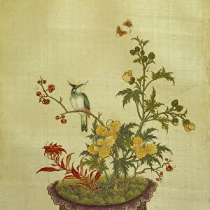Art China: painting on silk flowers and birds. Anonymous of the 18th century. Paris, BN