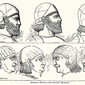 Assyrian heads, from ancient marbles (engraving)