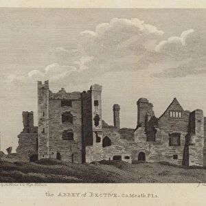 Bective Abbey, County Meath, Ireland (engraving)