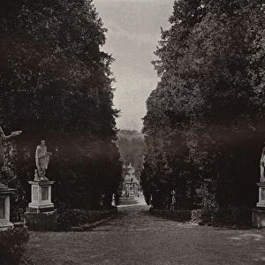 The Boboli Gardens, Florence, Looking Down the Great Avenue (b / w photo)