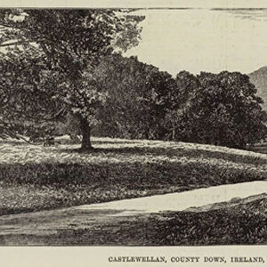 Castlewellan, County Down, Ireland, the Seat of Lord Annesley (engraving)