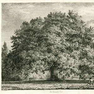 The Chandos Oak, Michendon House, Southgate, London (engraving)