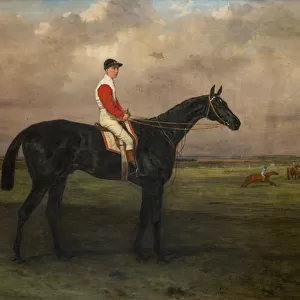Chippendale-A Racehorse with jockey up on Newmarket Racecourse, c. 1874 (oil on canvas)