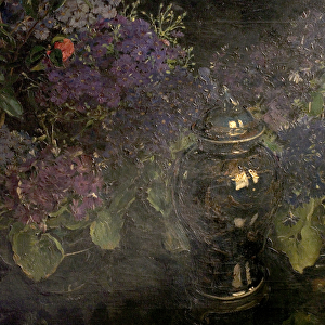 Cinerarias (oil on canvas)