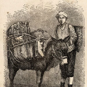 A coal merchant, with his donkey, in Djewilisk (Northern Anatolia)