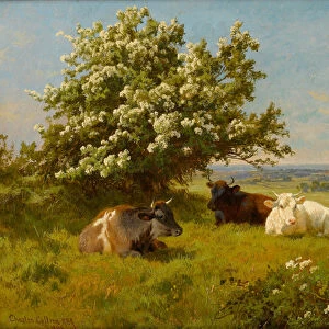 Cows in a Meadow, 1899 (oil on canvas)